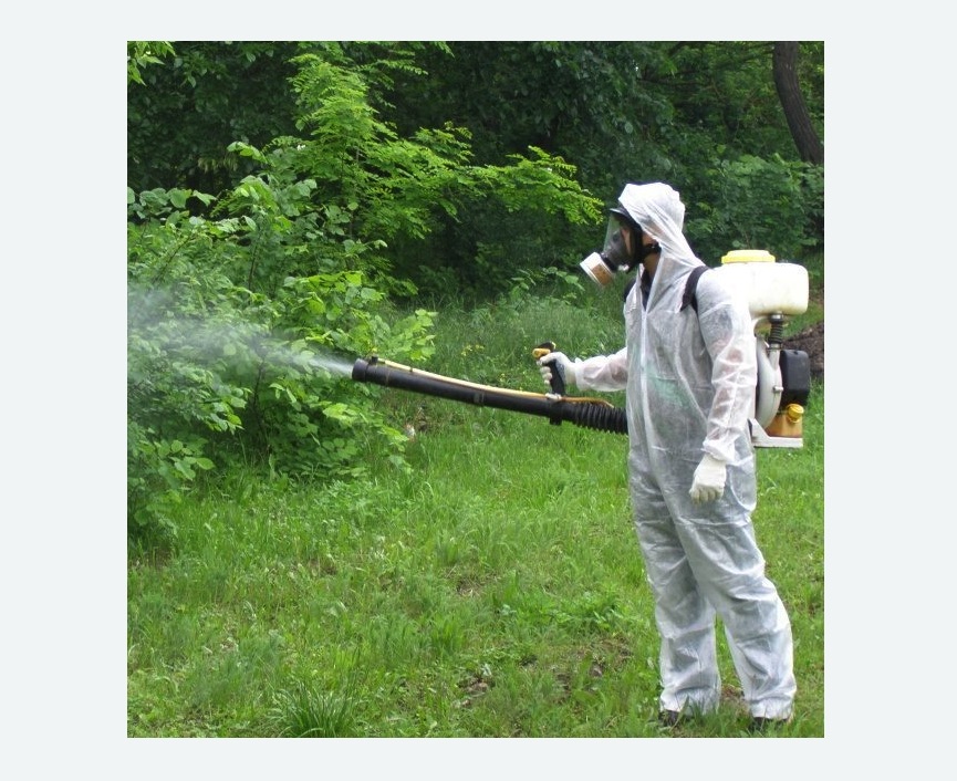 обработка территории от клещей в Покровске