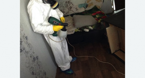 Обработка квартир от насекомых в Покровске