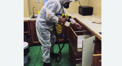 Дезинсекция квартиры. Покровск