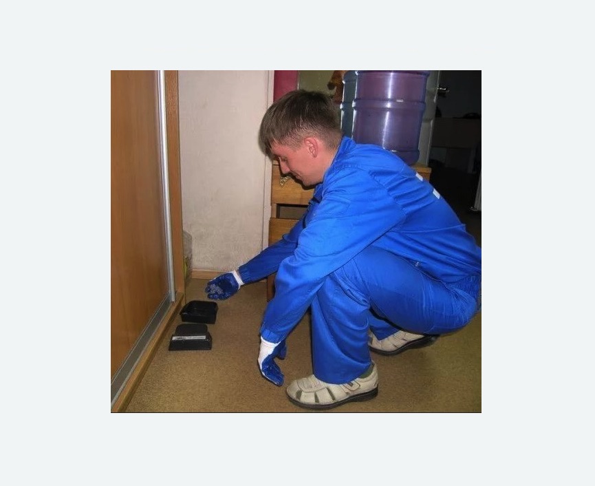 Дератизация крыс Дератизация крыс в Покровске