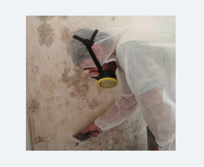 Обработка стен от плесени в Покровске