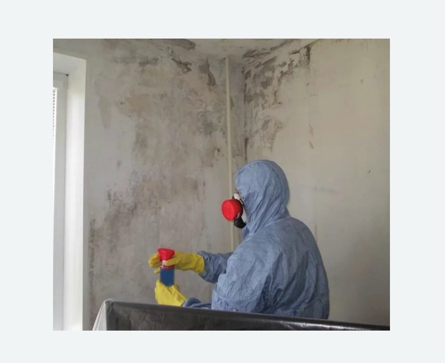 Удаление плесени в квартире в Покровске
