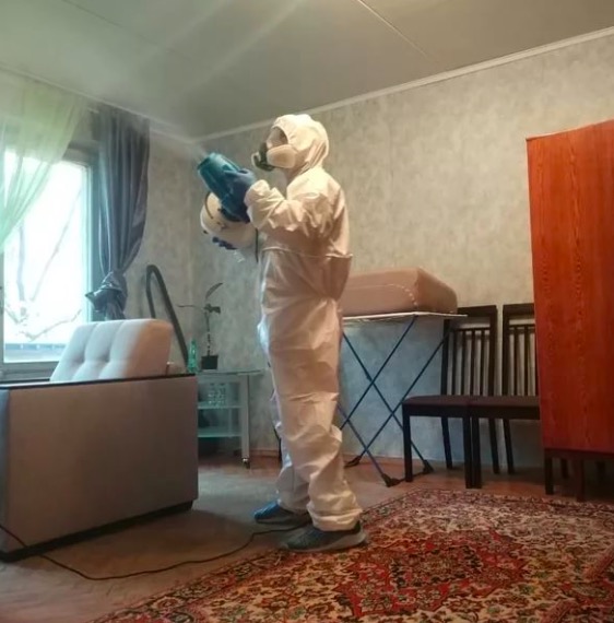 дезинсекция квартиры в Покровске