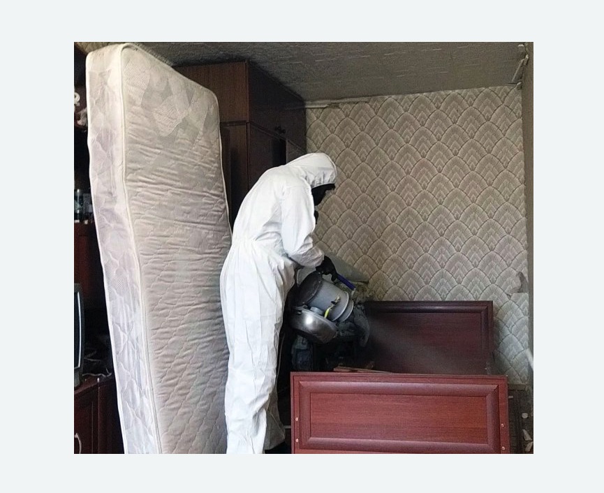 дезинфекция от клопов в Покровске