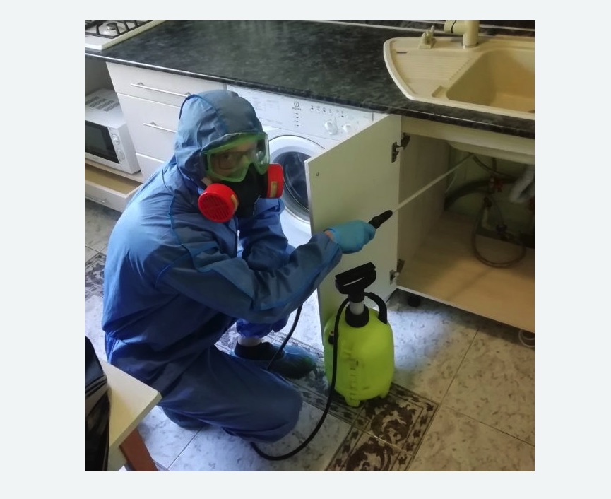 обработка от муравьев в квартире в Покровске