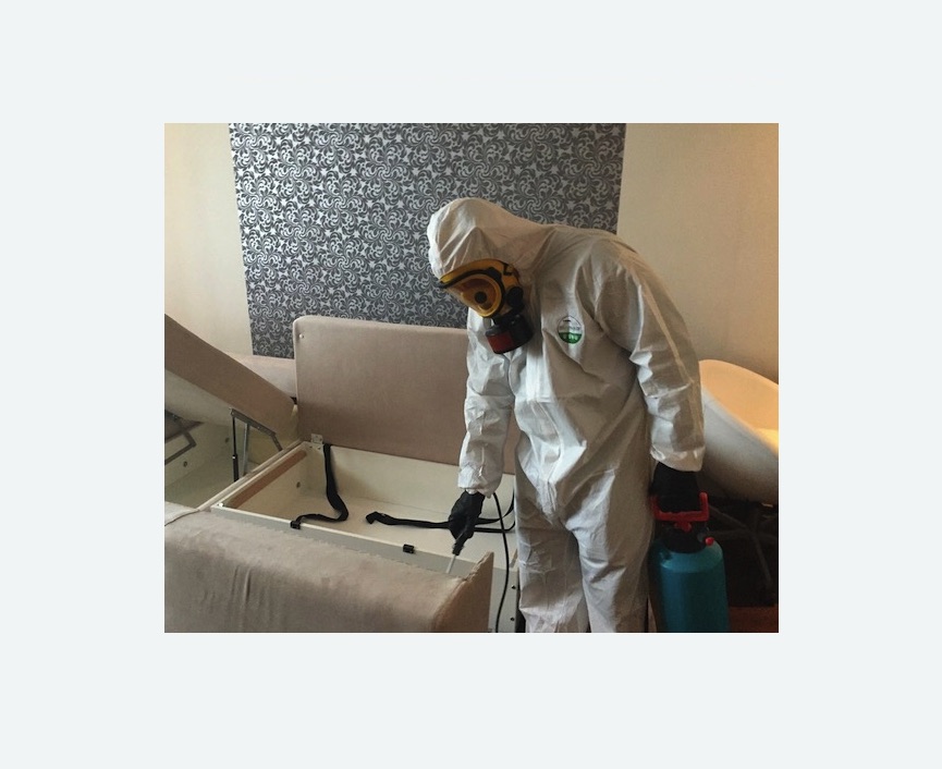 уничтожение клопов в квартире в Покровске