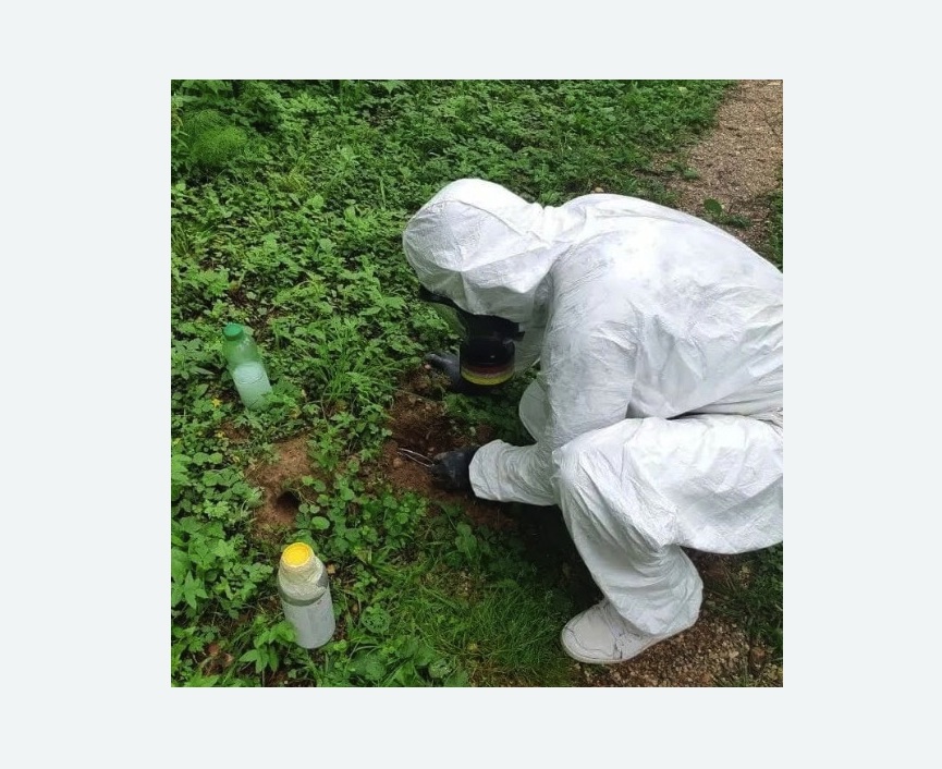 уничтожение кротов на участке в Покровске