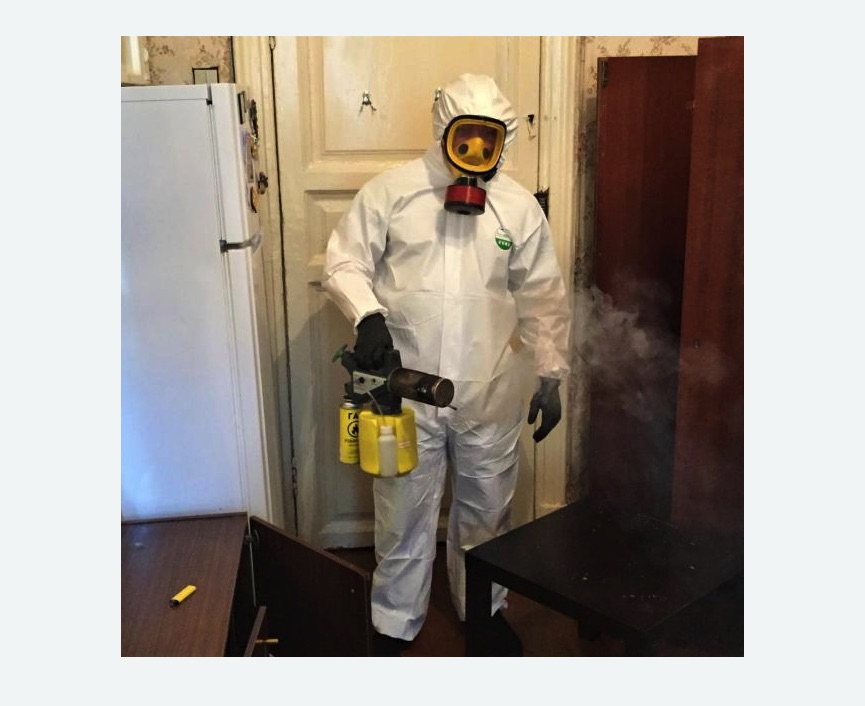 уничтожение муравьев в квартире в Покровске